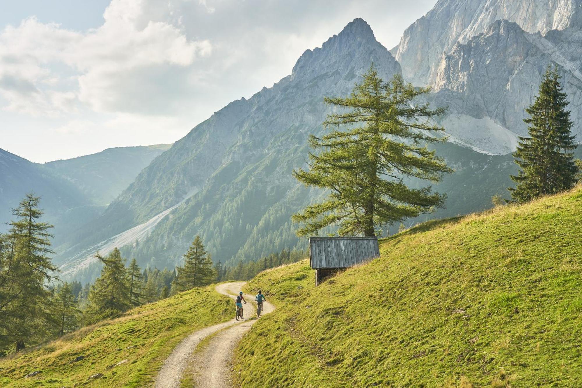 Schmiedlehnerhof Séjour à la ferme